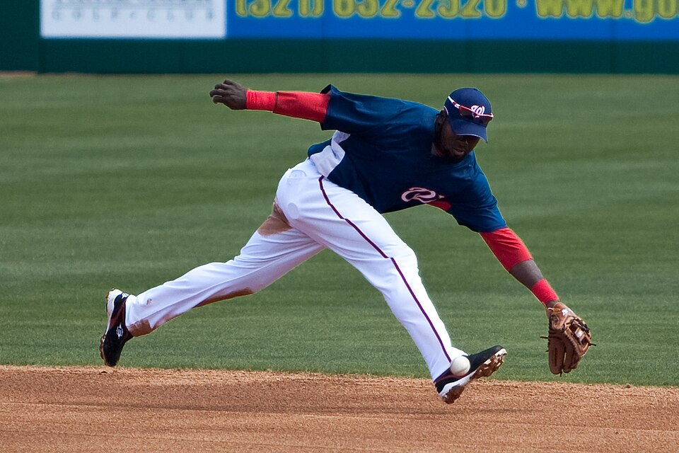 Irvin Joel Vigo Guzmán / Pelotero de Dominicano